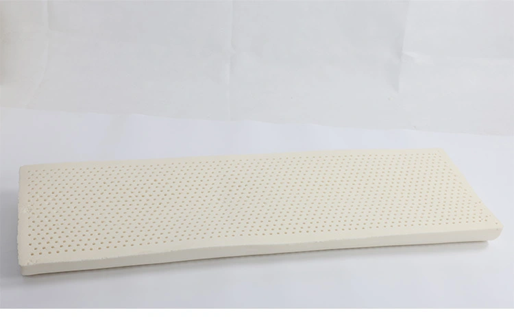 Large Size Double latex Pillow